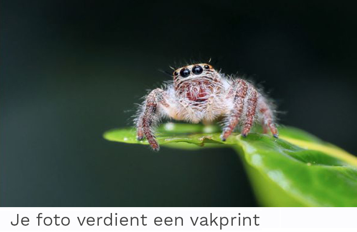 hoge kwaliteit afdrukken hoge kwaliteit afdrukken