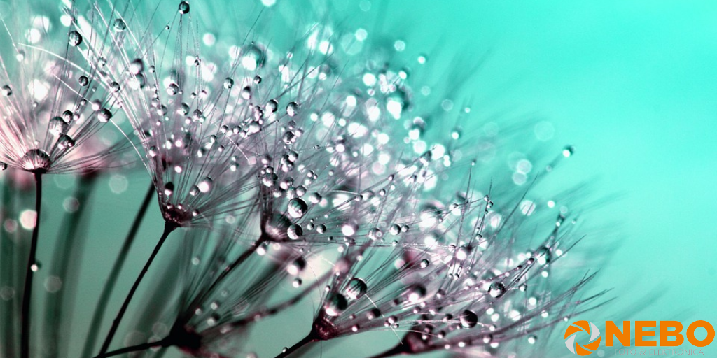 macrofotografie beginners