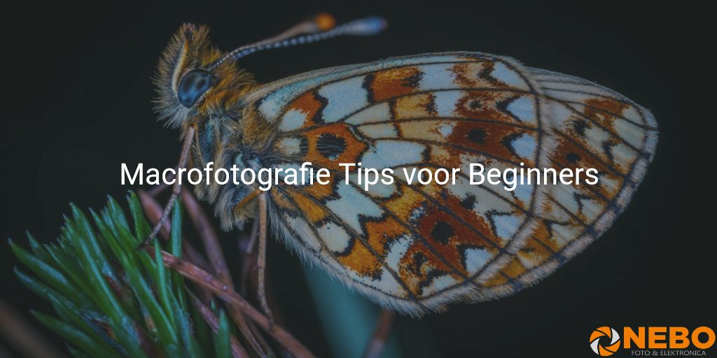 macrofotografie voor beginners macrofotografie-voor-beginners